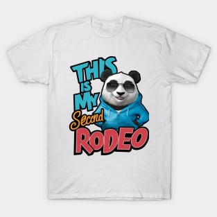 This is my second rodeo (v13) T-Shirt